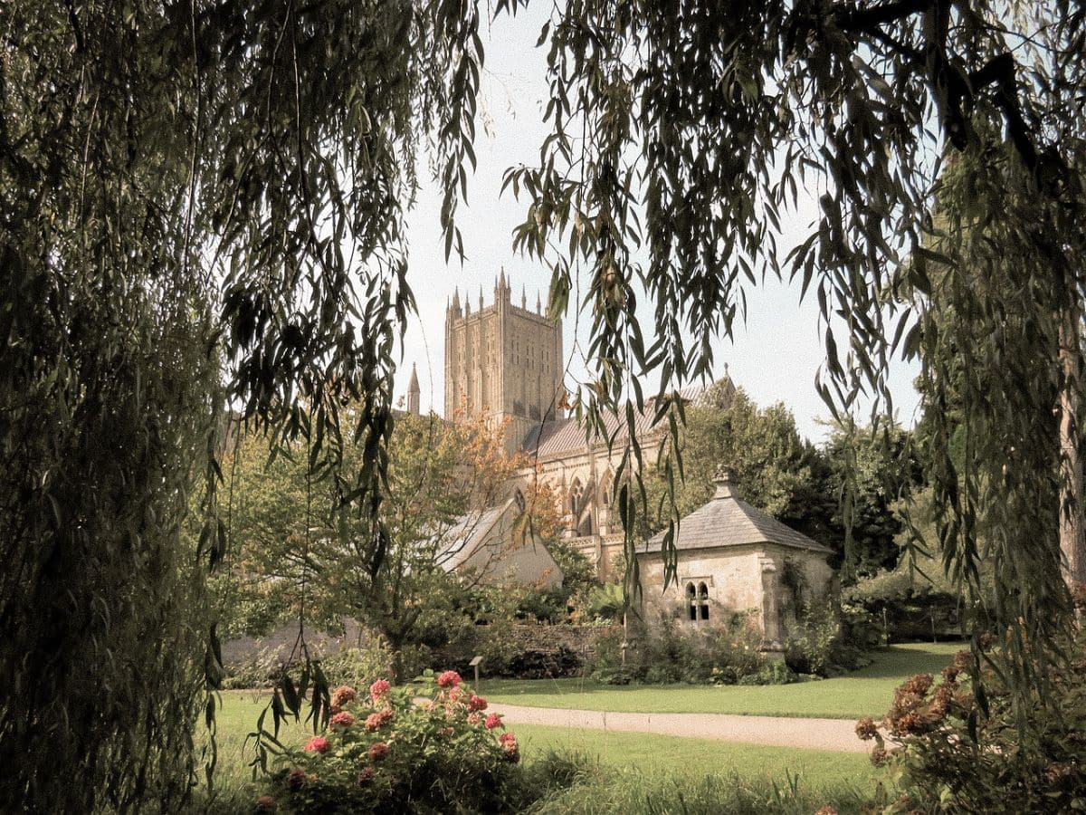 Wells cathedral taken from under the willow tree