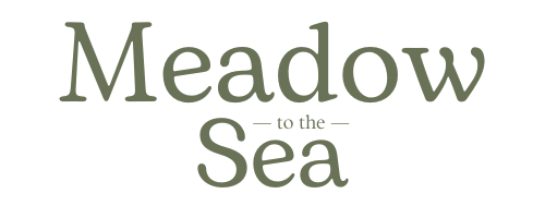Meadow to the Sea logo with white background