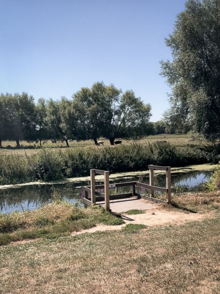The River Parrett that flows through Langport, Somerset