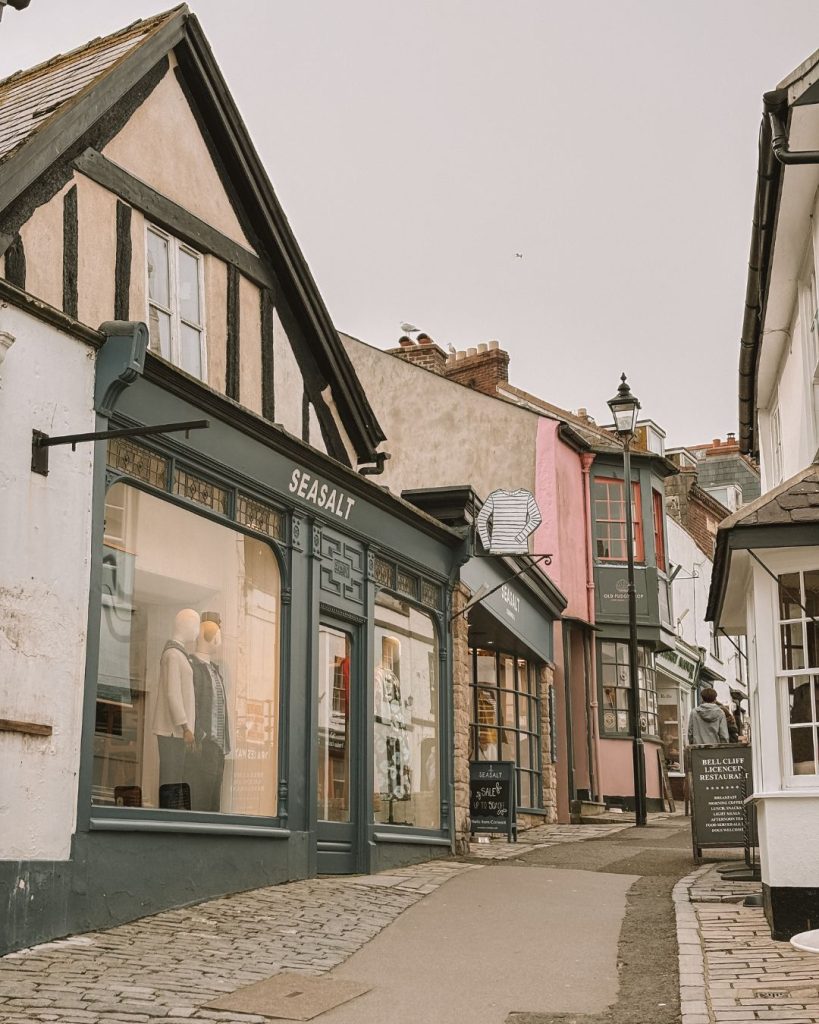 Some of the shops on Lyme Regis high street in Dorset
