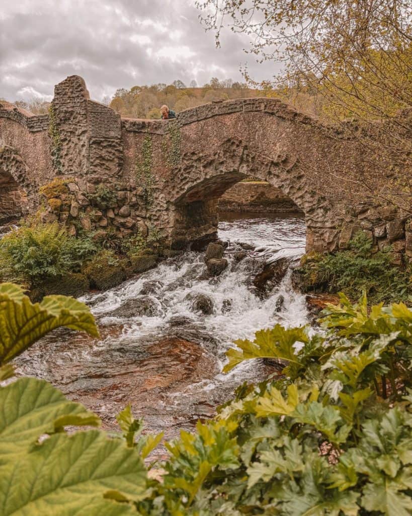 Bridge and bubbling stream at Dunster castle water gardens