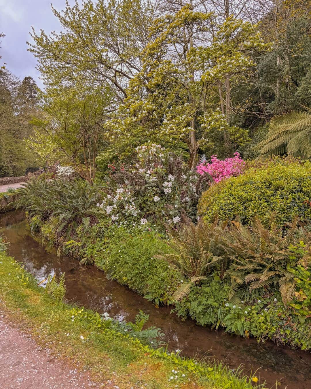 The beautiful Dunster Castle water gardens