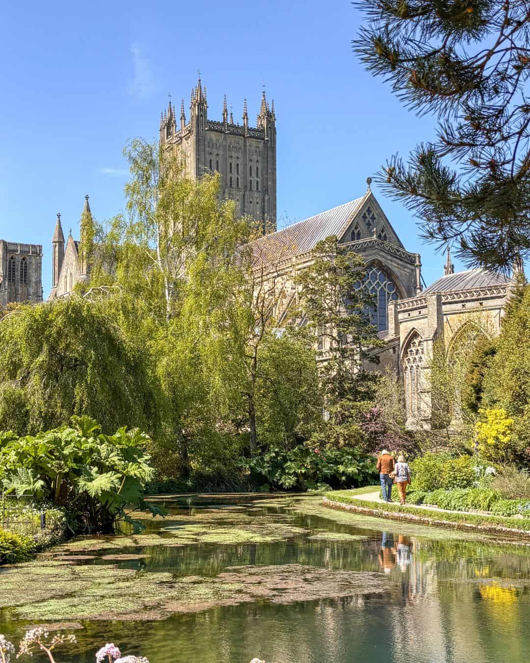 Wells Cathedral, Somerset taken from Bishop's Palace Gardens