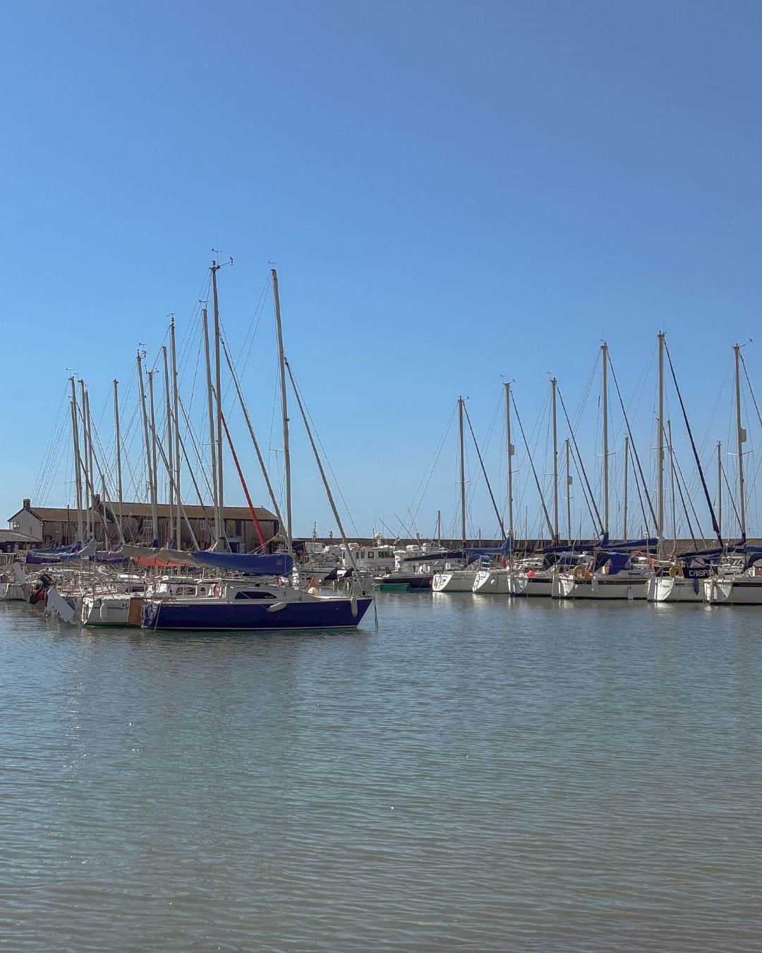 Boats in Lyme Regis harbour, Dorset on a beautiful sunny day