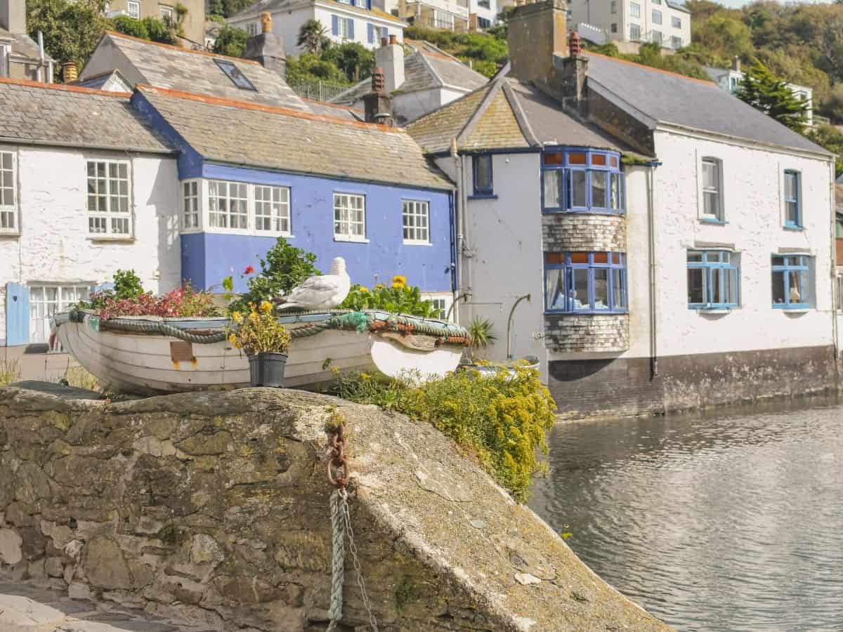 A seagull sitting on a decorative boat in the heart of beautiful Polperro